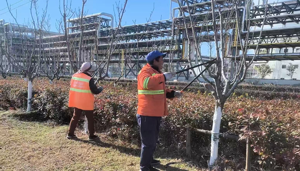 2efbf8cd3d90974c90b3055ae0c566e8