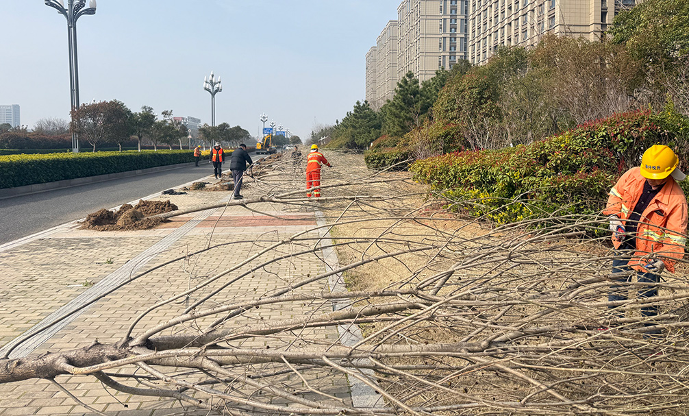 27dc386267064b59e208c6b9767c435b