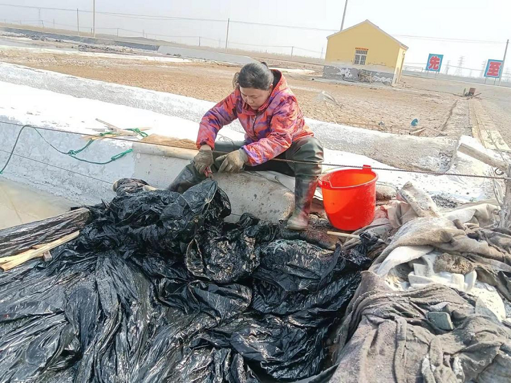 女工4.png 女工4.png